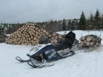 IMG_4346.JPG