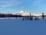 denali.jpg