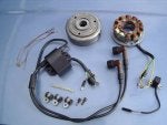 ROTAX DUCATI SINGLE IGNITION FOR A TWIN.jpg